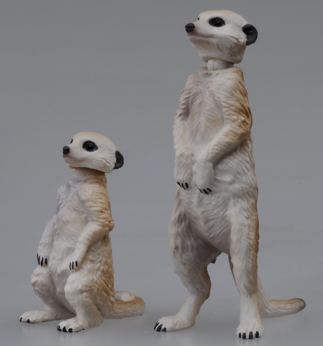 ミーヤキャット フレンズです💖 ミーアキャットのみーちゃんが随分リラックス